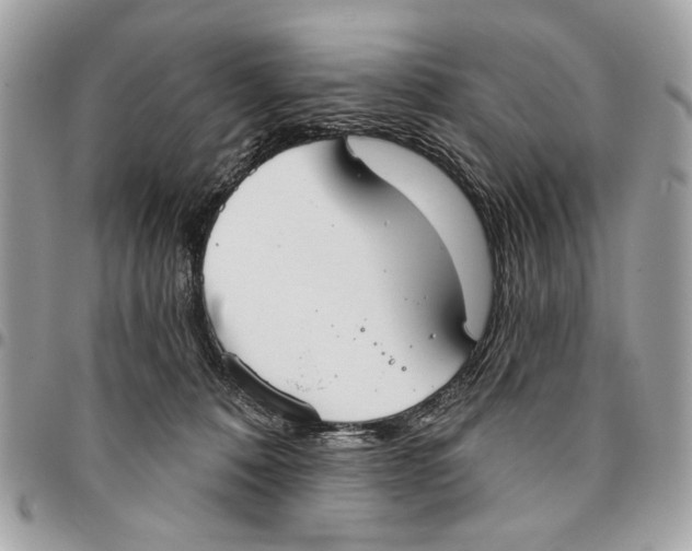 X0000096210320200802081508