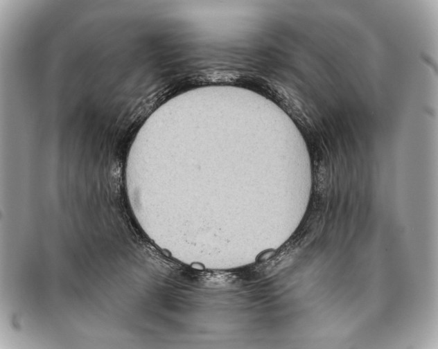 X0000096210321200802081508