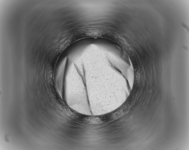 X0000096210322200802081508