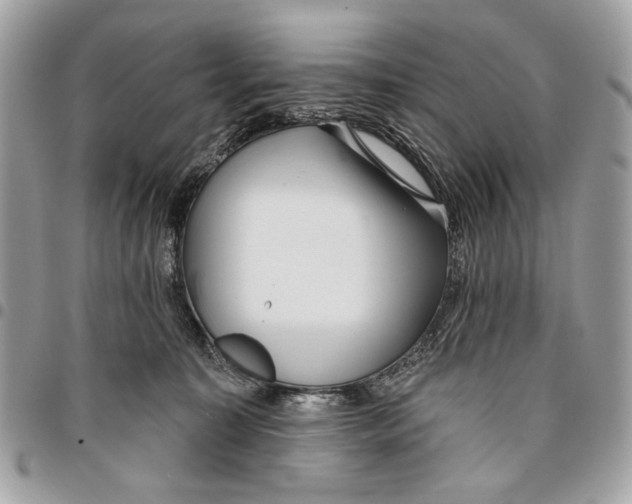 X0000096210323200802081508