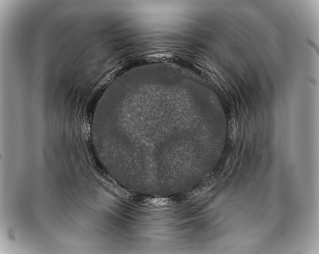 X0000096210324200802081508