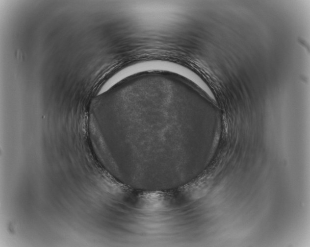 X0000096210325200802081508