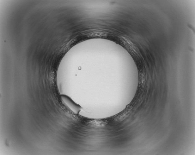 X0000096210326200802081508