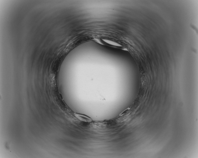 X0000096210327200802081508