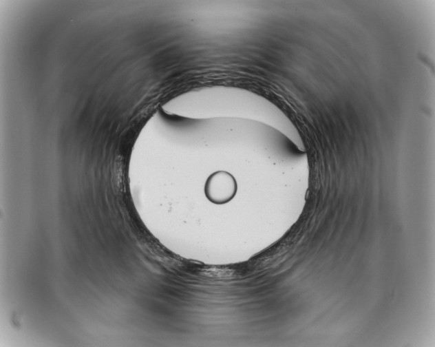 X0000096210328200802081508