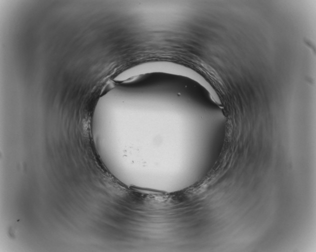 X0000096210329200802081508