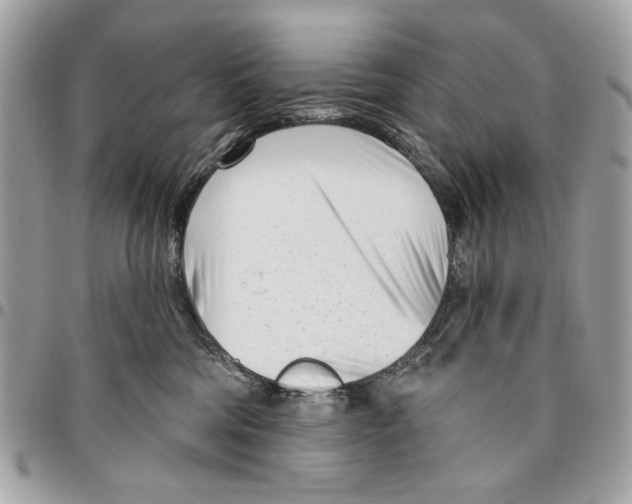 X0000096210330200802081508