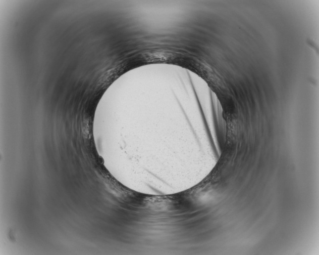 X0000096210331200802081508