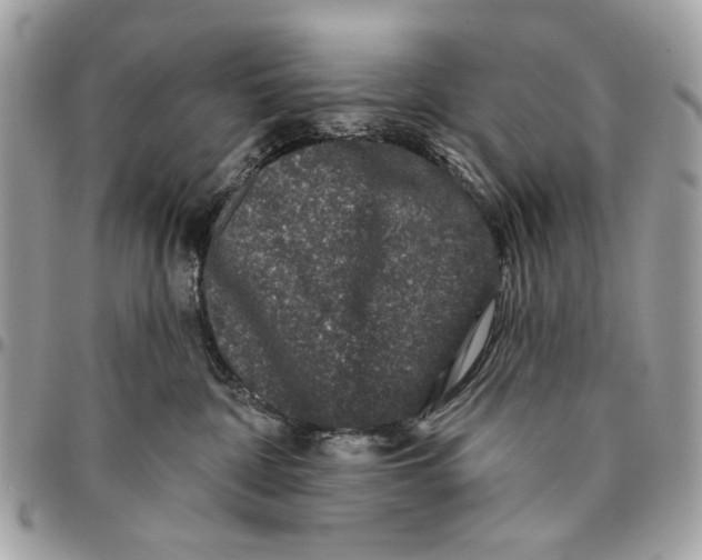 X0000096210332200802081508