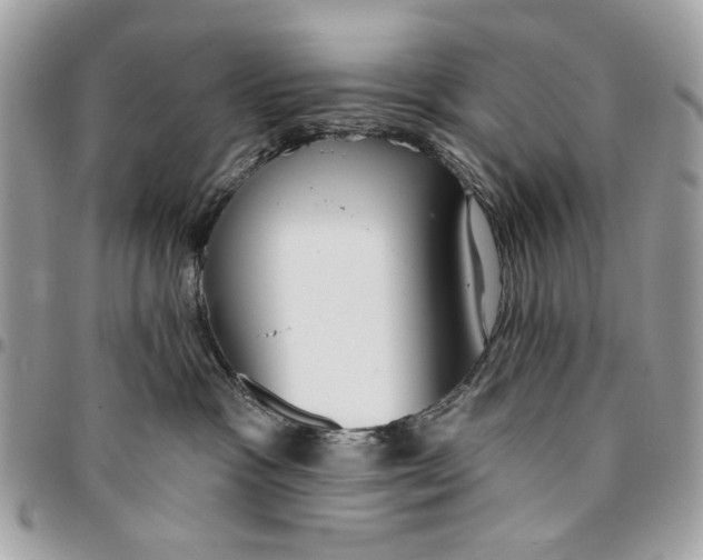 X0000096210333200802081508