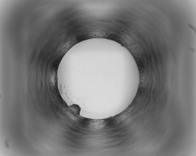 X0000096210334200802081508