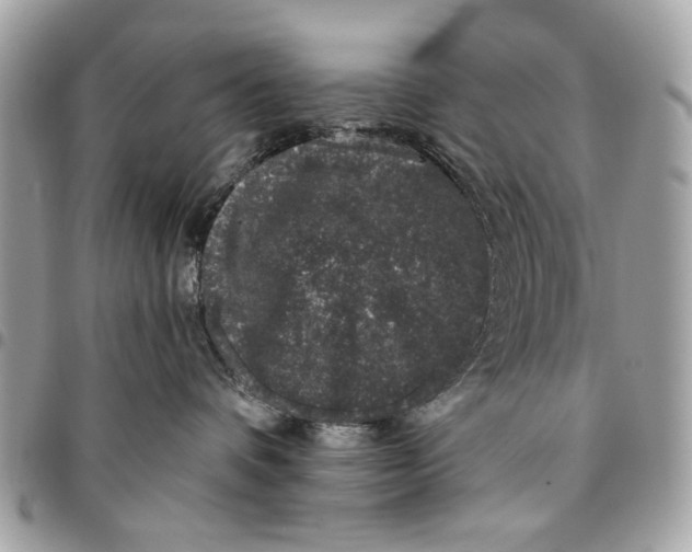 X0000096210336200802081508