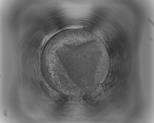 X0000096210337200802081507