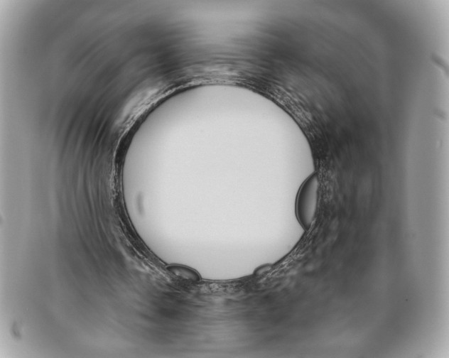 X0000096210338200802081507