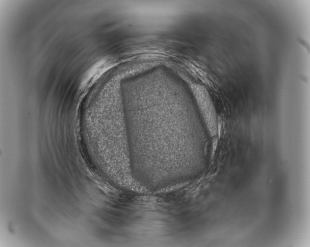 X0000096210339200802081507