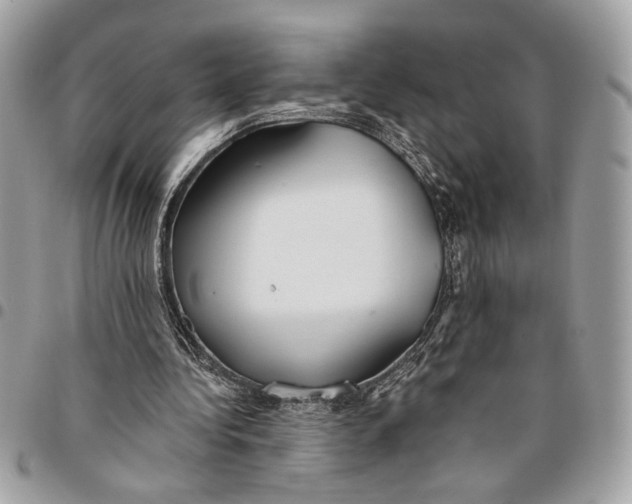 X0000096210340200802081507