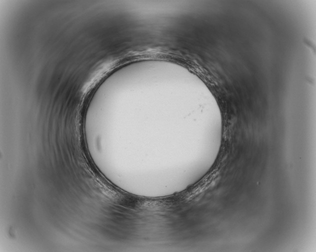 X0000096210341200802081507