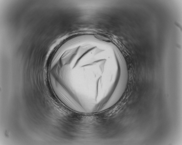 X0000096210342200802081507