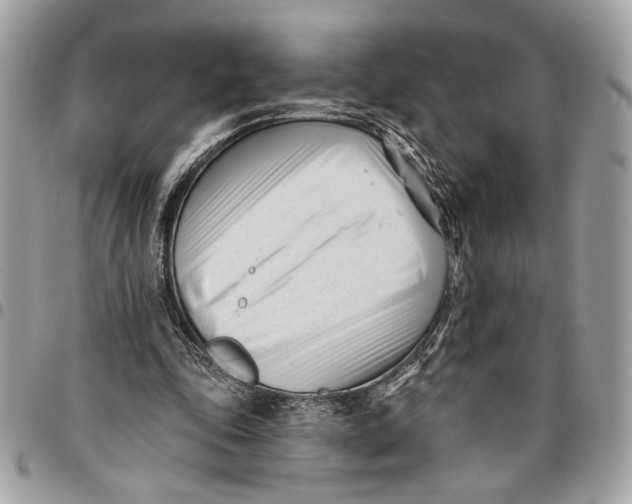 X0000096210343200802081507