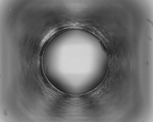 X0000096210344200802081507