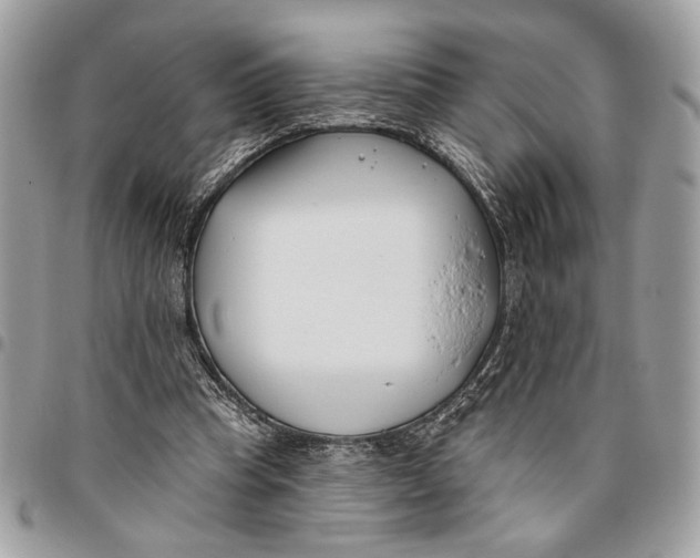 X0000096210345200802081507