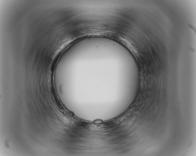 X0000096210346200802081507