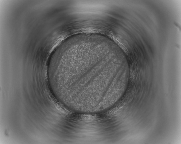 X0000096210347200802081507