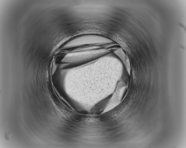 X0000096210348200802081507