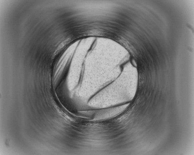 X0000096210349200802081507