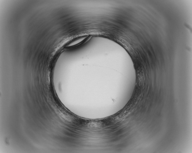 X0000096210350200802081507