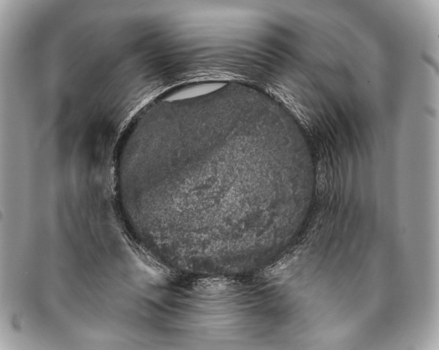 X0000096210351200802081507