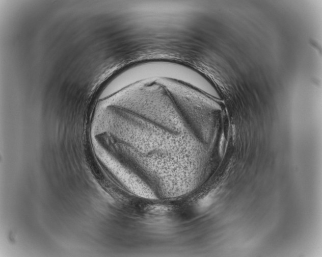 X0000096210352200802081507