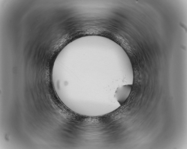 X0000096210354200802081507