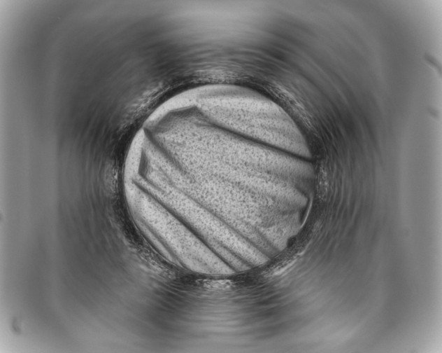 X0000096210355200802081507