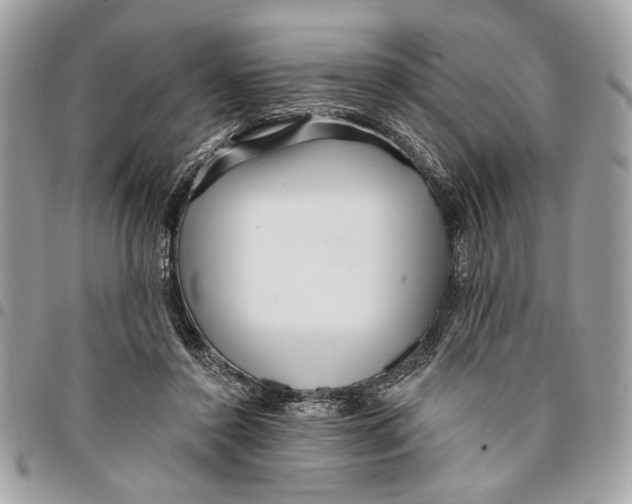 X0000096210356200802081507