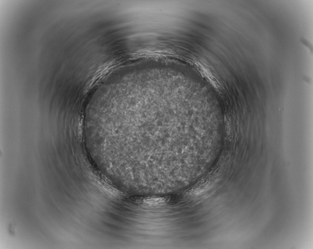 X0000096210357200802081507