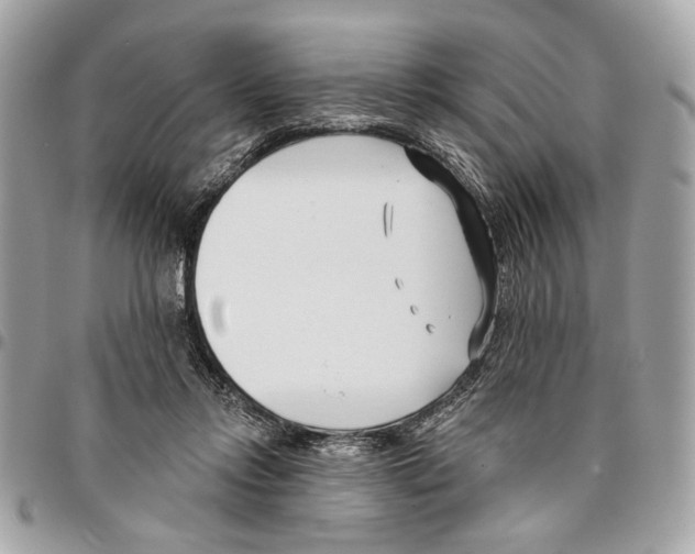 X0000096210358200802081507