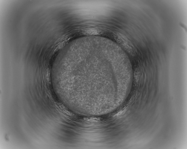 X0000096210359200802081508