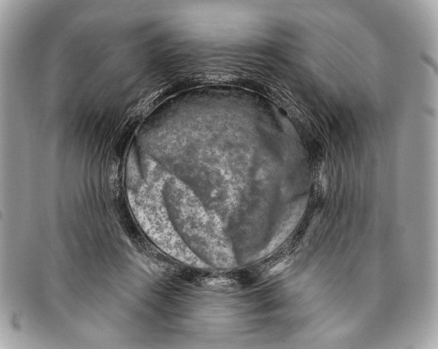 X0000096210360200802081508