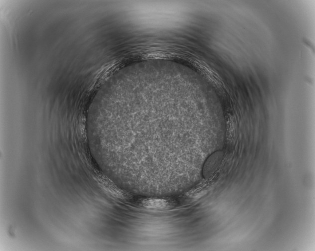 X0000096210361200802081508