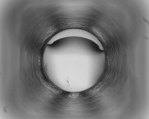 X0000096210362200802081508