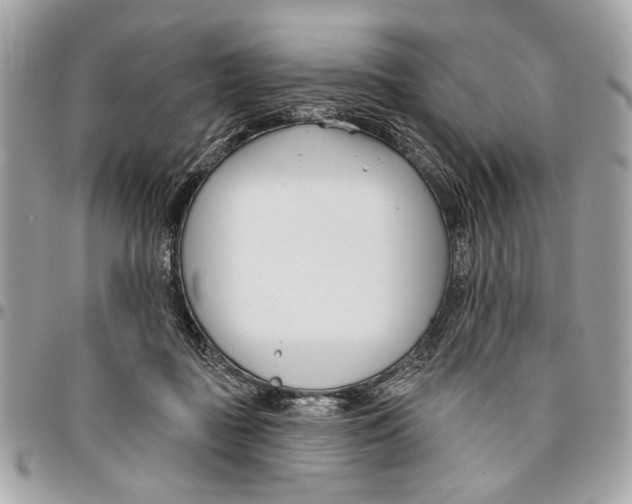 X0000096210363200802081508