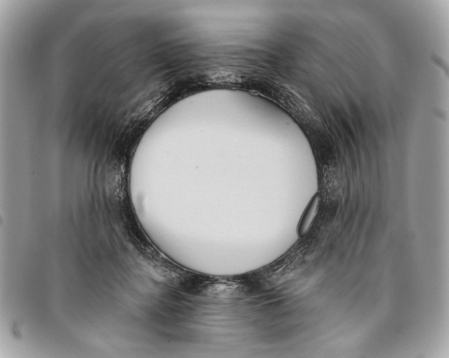 X0000096210364200802081508