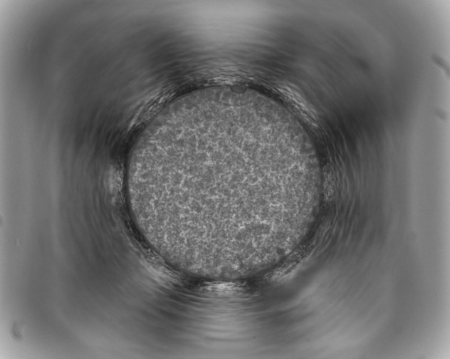 X0000096210365200802081508