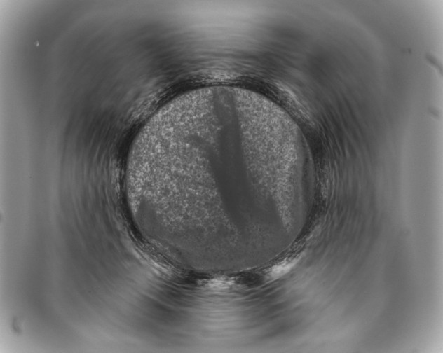 X0000096210366200802081508