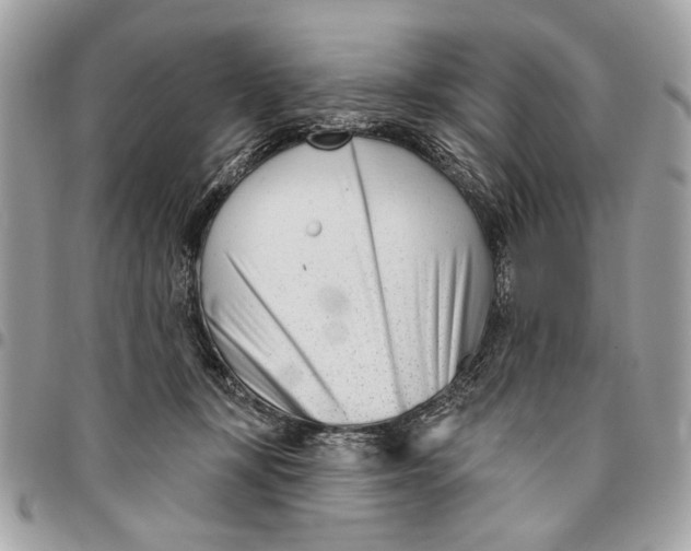 X0000096210367200802081508