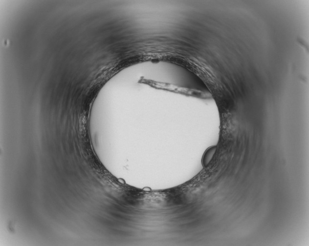 X0000096210369200802081508