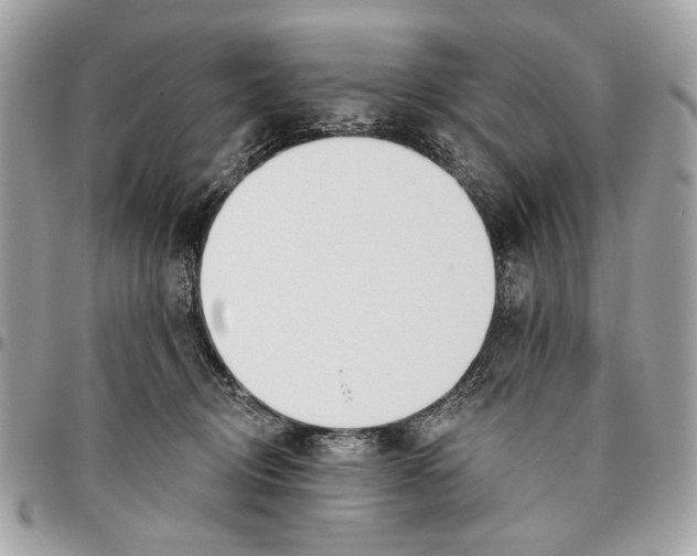 X0000096210370200802081508