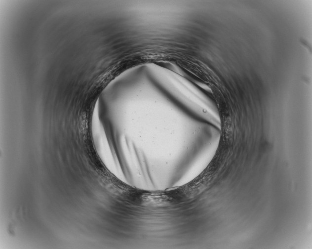 X0000096210372200802081508