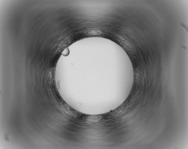 X0000096210373200802081508